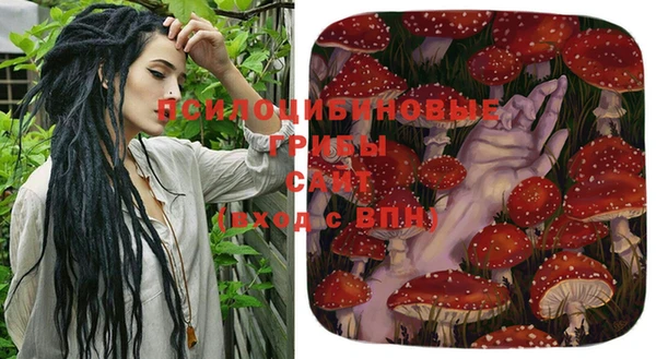 кокаин перу Бородино