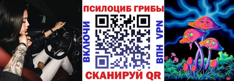 Псилоцибиновые грибы Magic Shrooms  что такое   Борисоглебск 